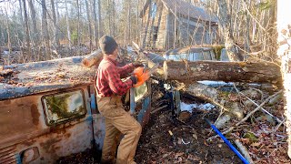 Cutting Abandoned Vw Bus Out of Tree  Sitting 52 years Found Buried in a Stream