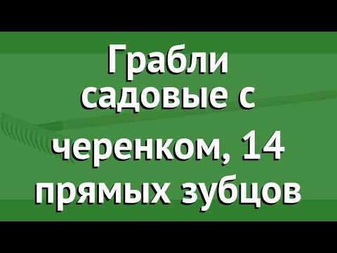 Грабли садовые с черенком, 14 прямых зубцов (Росток) обзор 421901-14 производитель Зубр ОВК (Россия)
