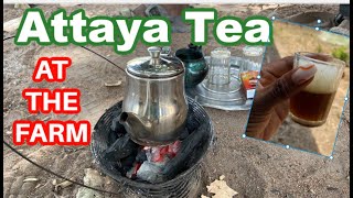 Village Farm cooking: Attaya Tea / Green Tea