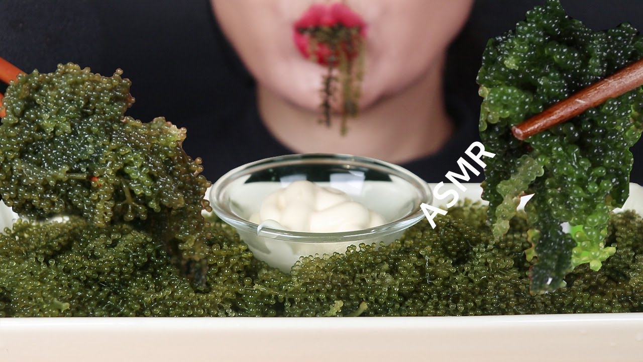 ASMR Sea Grapes Mukbang 바다포도 리얼사운드먹방 Anggur laut 海ぶどう องุ่นทะเล