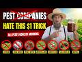 Spray This $1 Amish Garlic Liquid Remedy on Plants — All Pests Gone by Morning