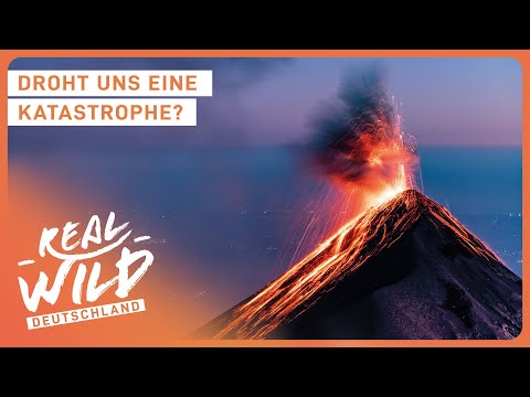 Video: Mt. Augustus: Der größte Felsen der Welt