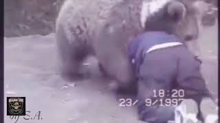 khabib nurmagomedov vs bear breakdown ❤️