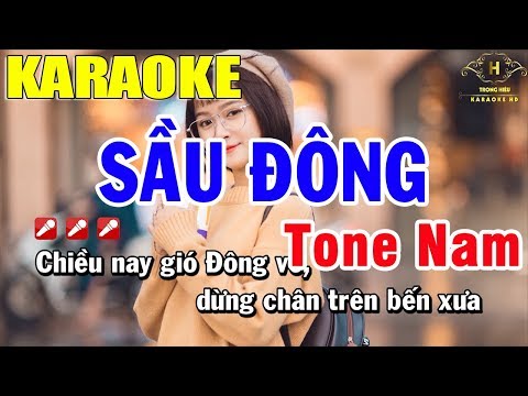 Karaoke Sầu Đông Tone Nam Nhạc Sống | Trọng Hiếu