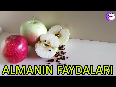 Video: Ən böyük alma nədir?