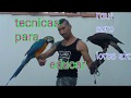 Loro amansar quitar que pique y manias guacamayo,yaco,agaporni