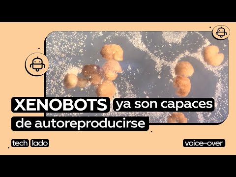 XENOBOTS: Los primeros robots vivos de la historia son capaces de autorreproducirse #techlado