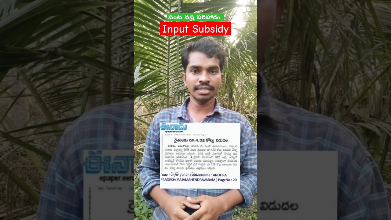 పంట నష్ట పరిహారం విడుదలకు ఉత్తర్వులు - AP Input Subsidy Money 2024 May