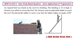 An Injured Bird Was Found On The Roof Of A Building. The Building Is 15 M High. A Fireman Was Called