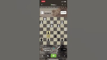 The Blitz Checkmate #chess #шахимат #checkmate #chessgame #games #chesscom #memes #chesstactics