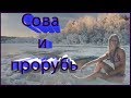 Шок! Sovuska в проруби!