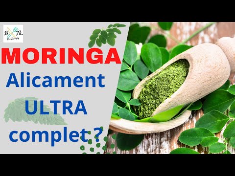 MORINGA : QUELLES SONT SES VERTUS ET EFFETS SECONDAIRES II BecTherapy