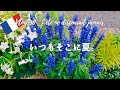 Vlog 36: Summer Never Ends 🌞