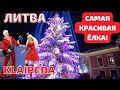 В Klaipėda &quot;зажгли&quot; самую красивую настоящую ёлку. Литва