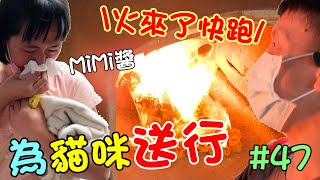 『為貓咪送行』火來了趕快跑MiMi醬 Cat Story#47