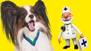 Доктора, ДОКТОРА!!! Веселый ЮКИ и кот Сеня заболели! / Сериалити от ЮКИ 7 серия Доктора, ДОКТОРА!!! Веселый ЮКИ и кот Сеня заболели! / Сериалити от ЮКИ 7 серия