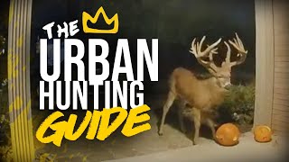 The Guide to URBAN HUNTING Giant Whitetails