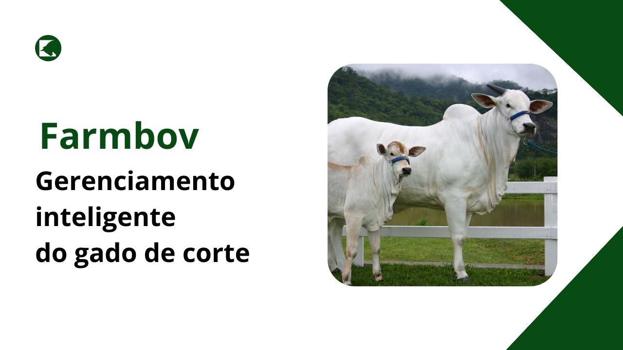 Farmbov - Controle simples e inteligente da pecuária de corte