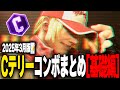 【スト6】全1テリーによるCテリーコンボ解説！①キャンセルラッシュを使わない基礎コンボ編【2025年3月版】