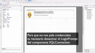 Como crear reportes con FastReport c++builder rad studioxe4