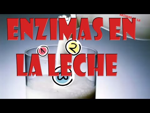 Enzimas de la leche