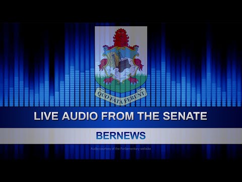 Bermuda Senate In Session, February 14 2024