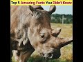 गेंडे के सींग इतने महंगे क्यों? | 5 Amazing Facts | #shorts #shortvideo