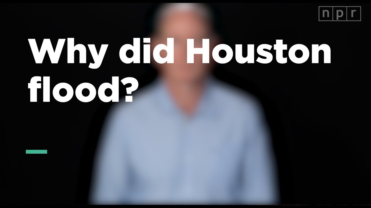 Why did Houston flood? | Let's Talk | NPR
