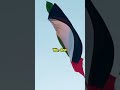The Truth About Tensions in the Strait of Hormuz
