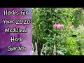 Herbs for Your 2020 Medicinal Herb Garden