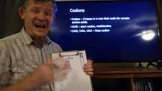 Chapter 10 part 2, Codons