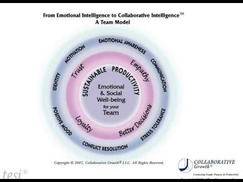 How to Build Emotional Intelligence for Individuals and Teams The Top 7