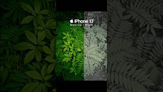 Prores Log In iPhone 13📸🔥