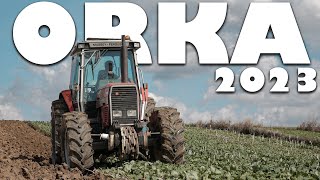 🇵🇱|4K|☆ORKA POD PSZENICĘ 2023☆ MASSEY FERGUSON 3610 | OVERUM | OPOROWO |