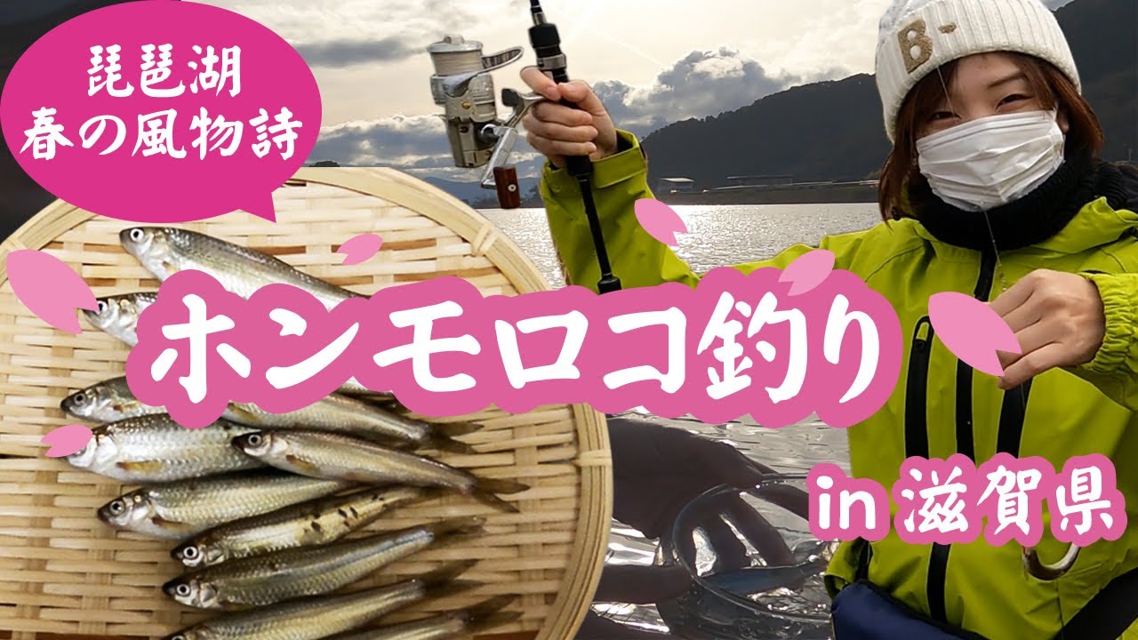 なななfish びわ湖春の風物詩ホンモロコ釣り ゴールデンミーン Youtube