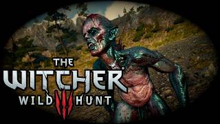 The Witcher 3 - Wild Hunt (PS5 Todesmarsch) ⚔️ #171 - JAGD nach den FRAGEZEICHEN (Part 1)