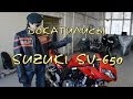 [Докатились!] Обзор Suzuki SV-650 Part1. Между молотом и наковальней