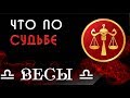 ВЕСЫ что по СУДЬБЕ. Гороскоп на картах Таро