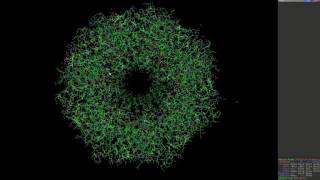 PyMol 1
