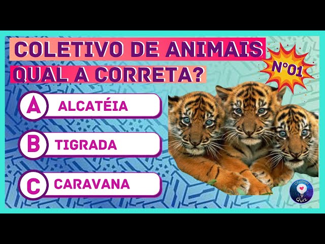 Qual é o coletivo de cavalo? Descubra! - Blog da Cobasi