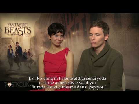 Video: Fantastic Beasts 3 filminin çəkilişləri bitib?