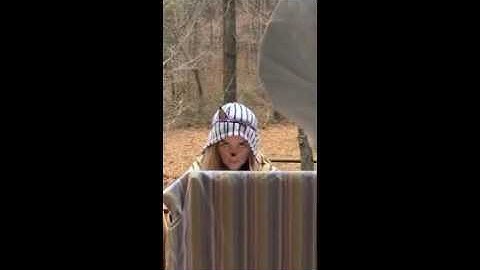Cat Jump Fail with Music: Sail by AWOLNATION