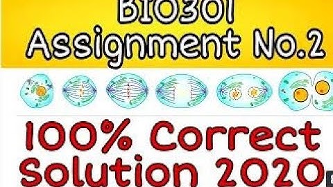Bio301 Assignment No 3 Solution Fall 2020 Complete Correct Solved