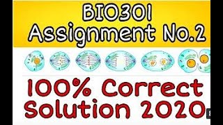 Bio301 Assignment No 3 Solution Fall 2020 Complete Correct Solved