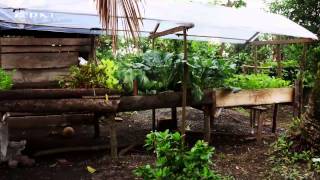 New Ways to Grow Food