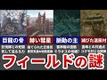 【モンハンライズ】フィールドに隠された謎や裏設定まとめ【ゆっくり解説】