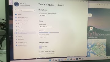 You have selected Microsoft David as the default voice.