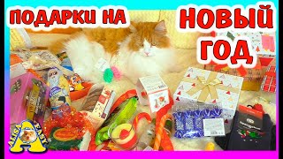 Лучший Подарок на Новый Год от Подписчиков?! Изи-семья в Шоке! Алиса Изи Петс / Alisa Easy Pets