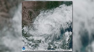 People along the Texas Gulf Coast brace for Tropical Storm Francine to make landfall