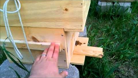 05-26-14 Nuc to Warre inspection 01